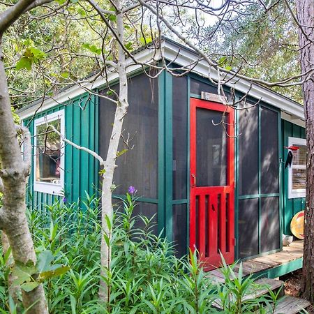 غرايتون بيتش Hibiscus Coffee & Guesthouse المظهر الخارجي الصورة